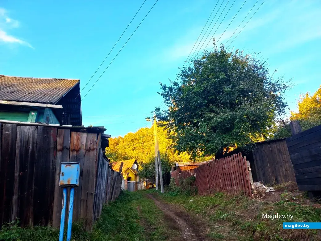 21.10.2024, Могилев. 2-й Струшенский Овраг и его окрестности.