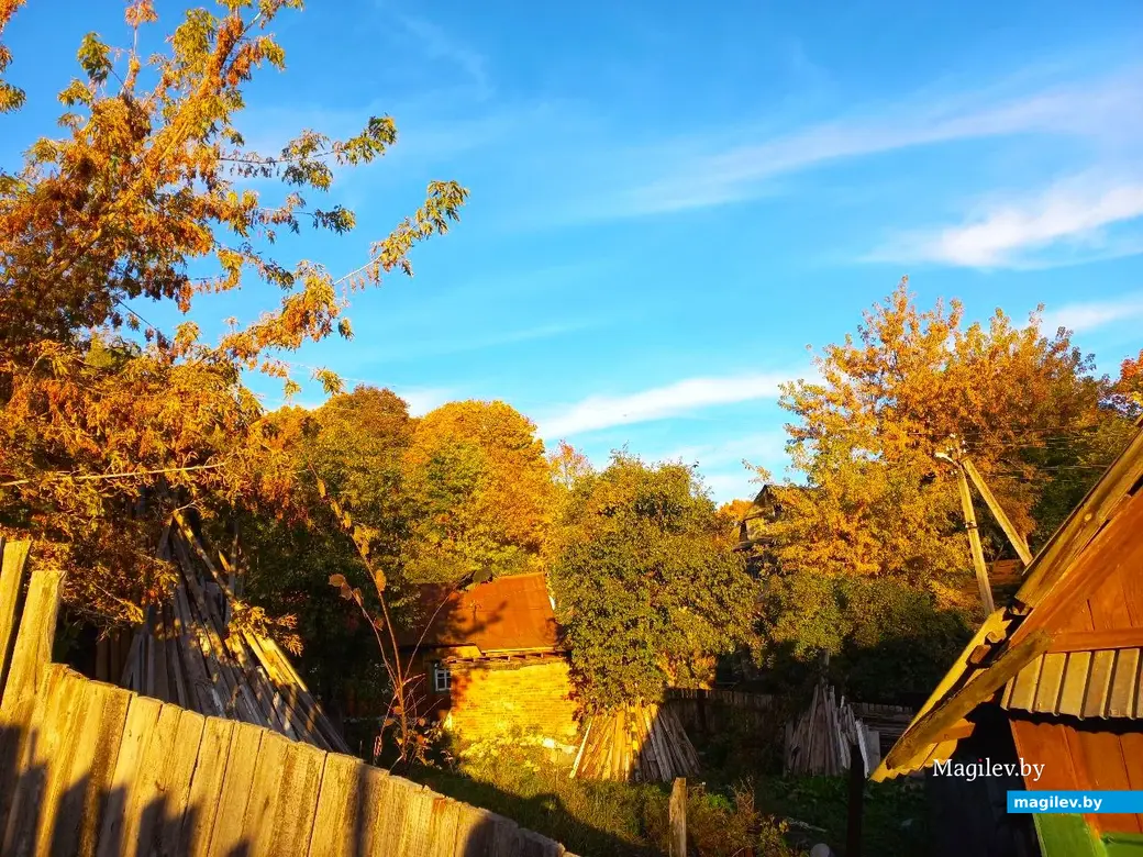 21.10.2024, Могилев. 2-й Струшенский Овраг и его окрестности.