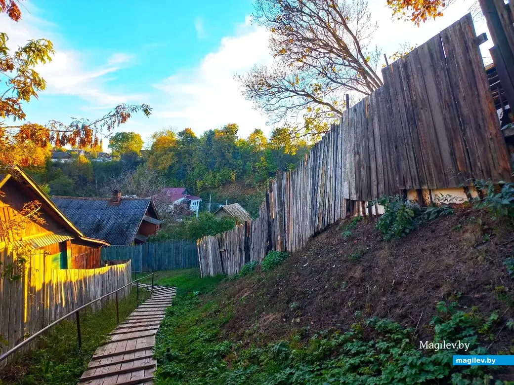 21.10.2024, Могилев. 2-й Струшенский Овраг и его окрестности.