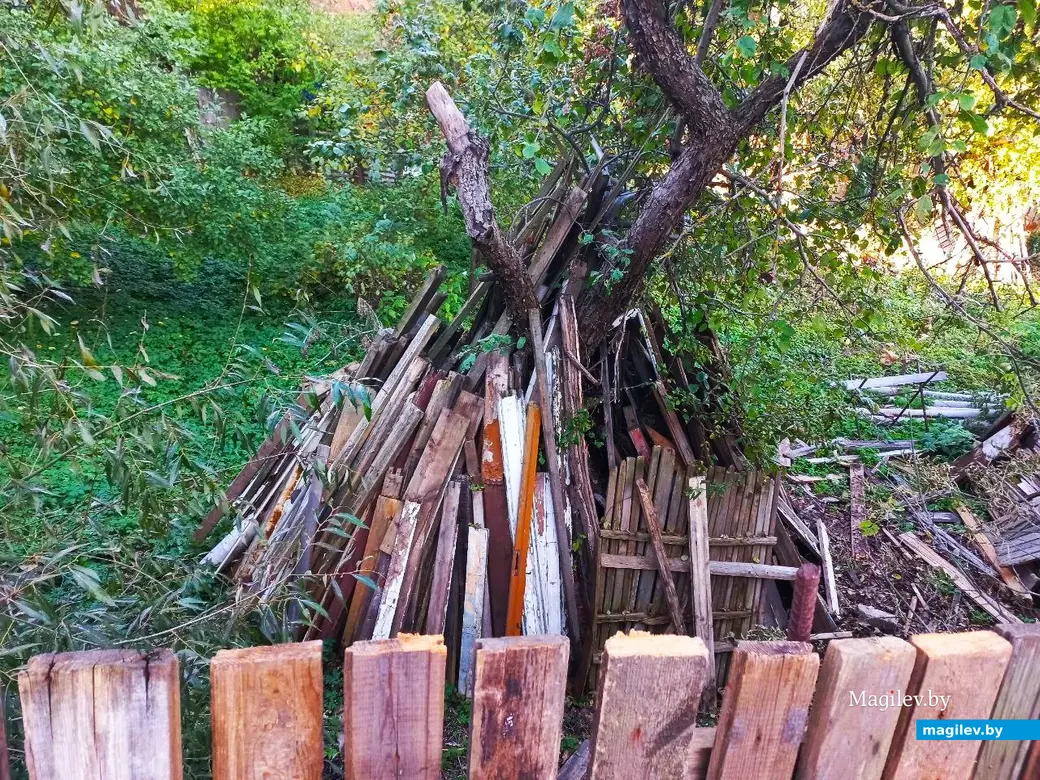 21.10.2024, Могилев. 2-й Струшенский Овраг и его окрестности.