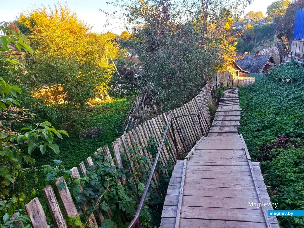 21.10.2024, Могилев. 2-й Струшенский Овраг и его окрестности.