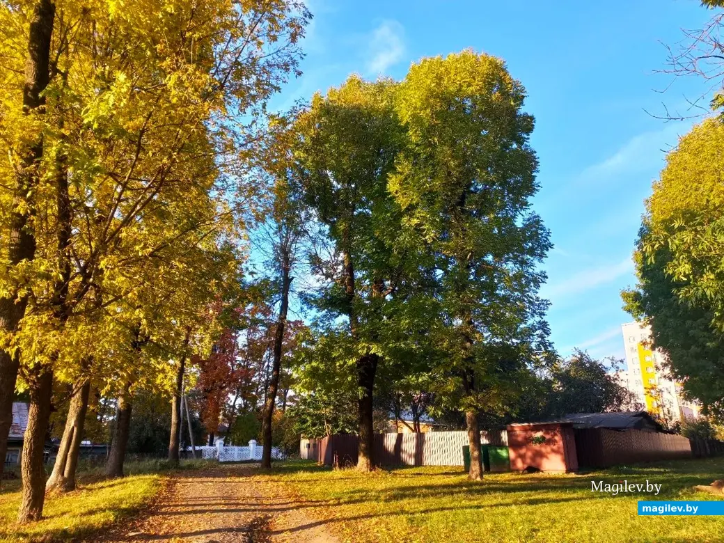 21.10.2024, Могилев. 2-й Струшенский Овраг и его окрестности.