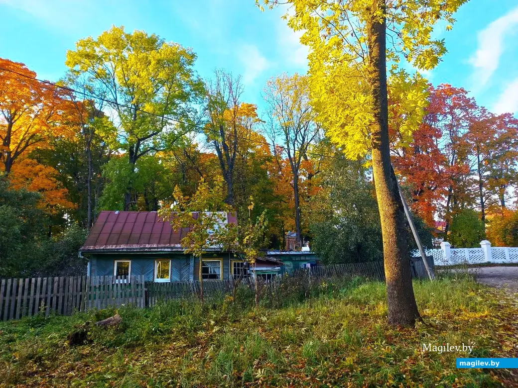 21.10.2024, Могилев. 2-й Струшенский Овраг и его окрестности.