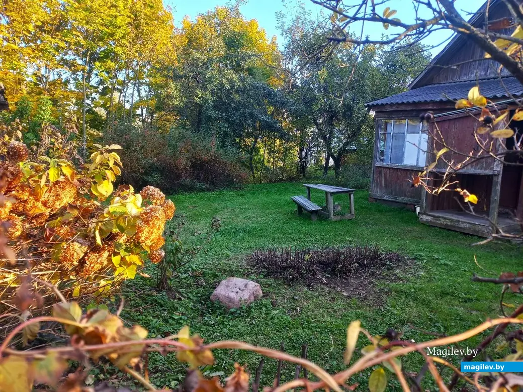 21.10.2024, Могилев. 2-й Струшенский Овраг и его окрестности.