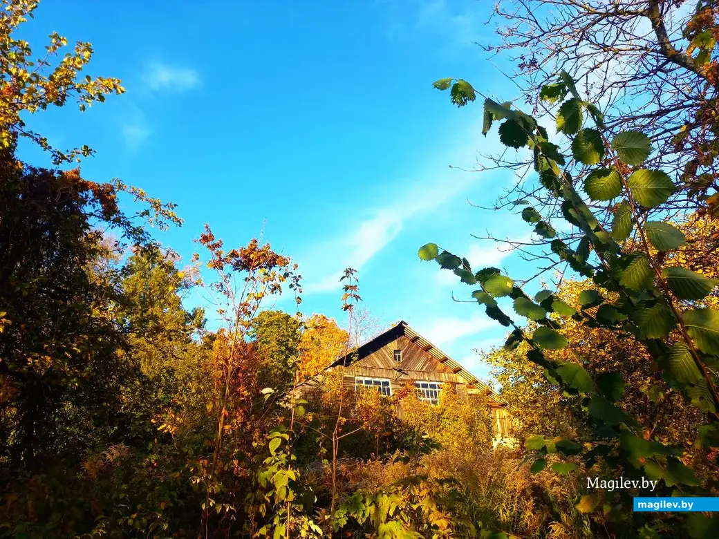 21.10.2024, Могилев. 2-й Струшенский Овраг и его окрестности.