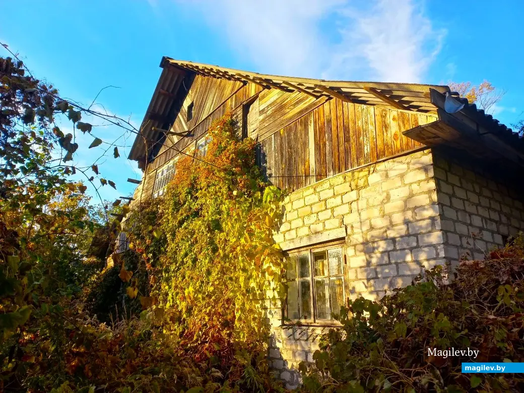 21.10.2024, Могилев. 2-й Струшенский Овраг и его окрестности.