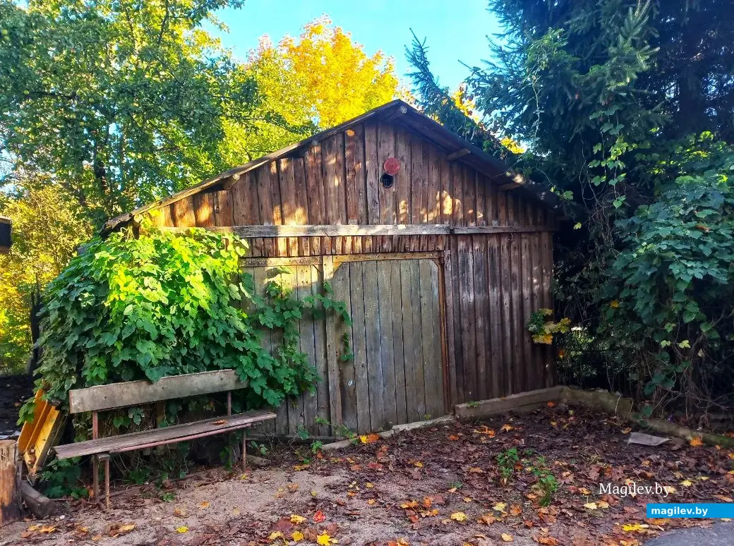 21.10.2024, Могилев. 2-й Струшенский Овраг и его окрестности.