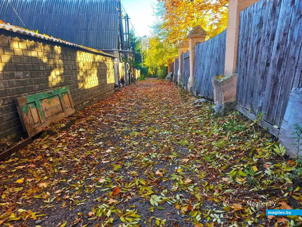 21.10.2024, Могилев. 2-й Струшенский Овраг и его окрестности.