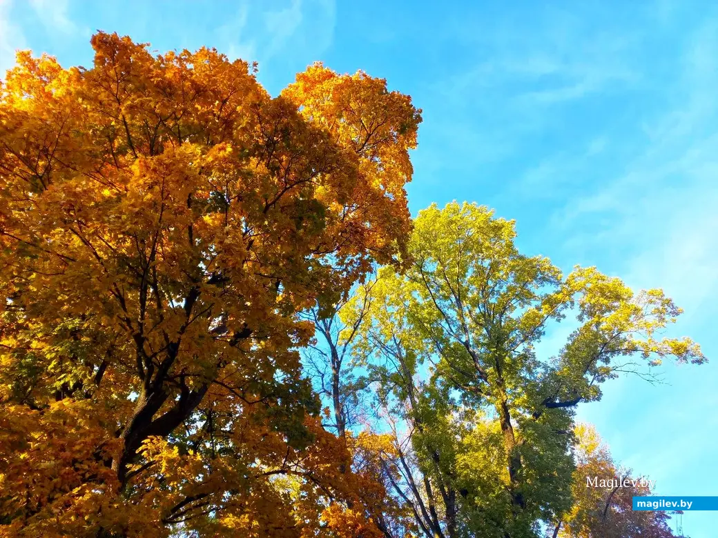 21.10.2024, Могилев. 2-й Струшенский Овраг и его окрестности.