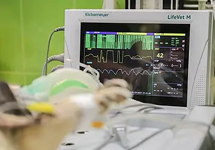 Когда начинают реабилитацию пациента после инсульта, рассказала врач