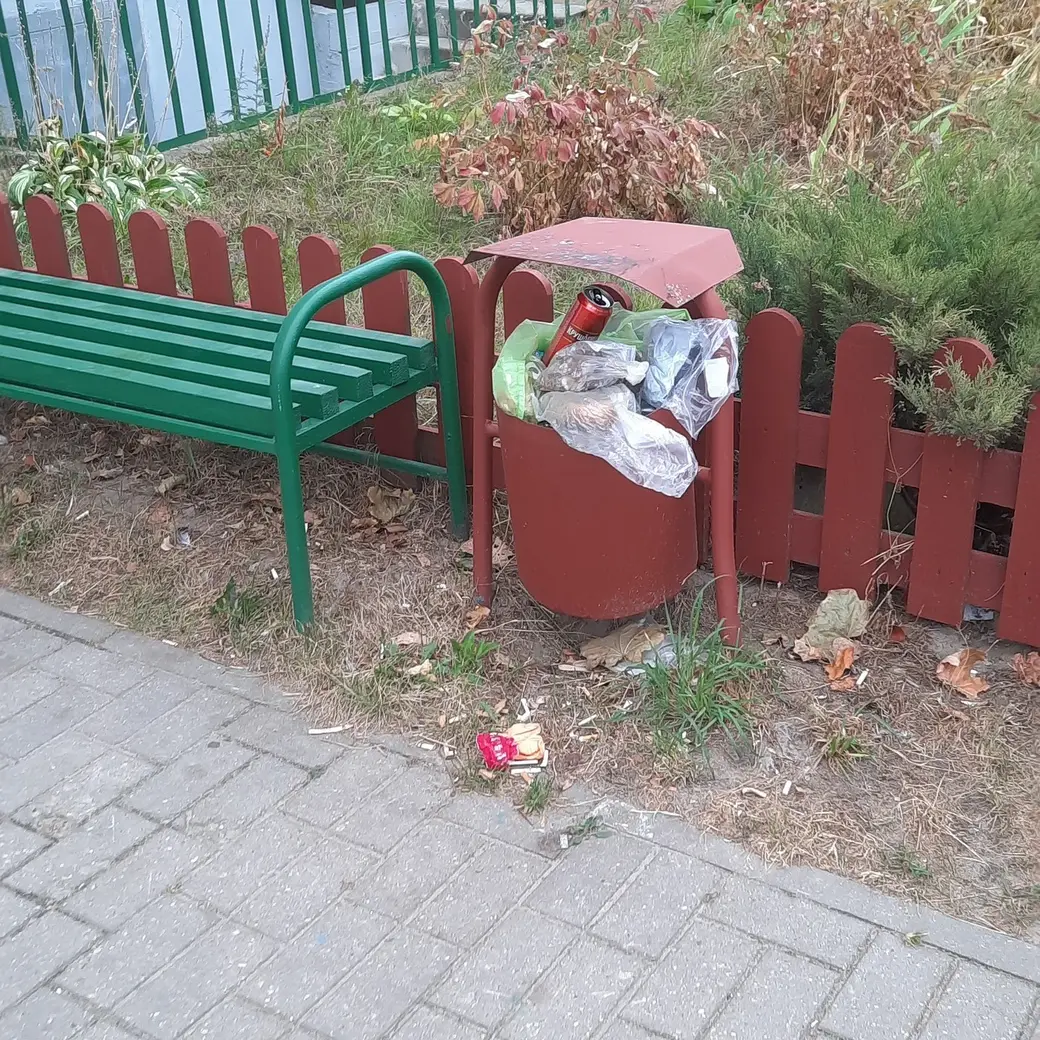 Осень 2024 г. Могилев.