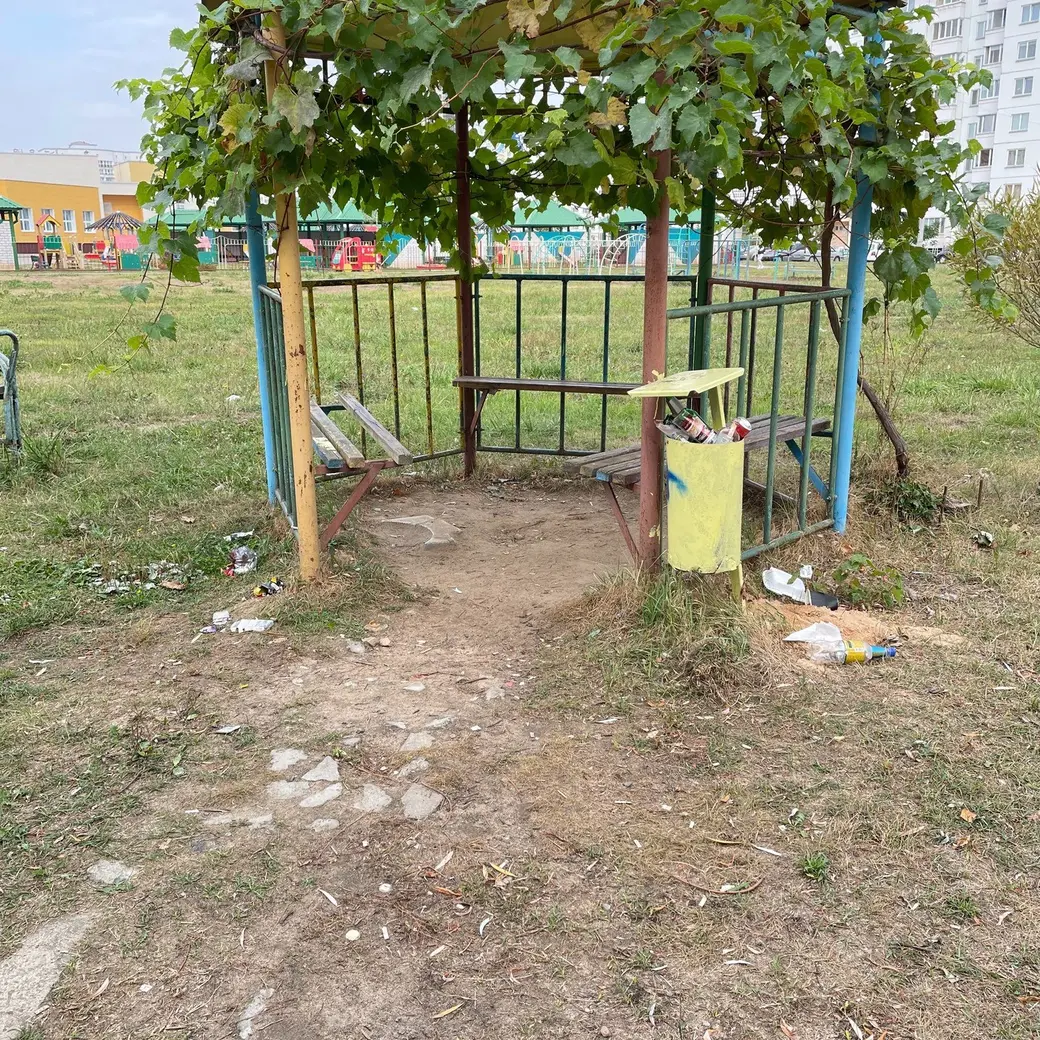 Осень 2024 г. Могилев.