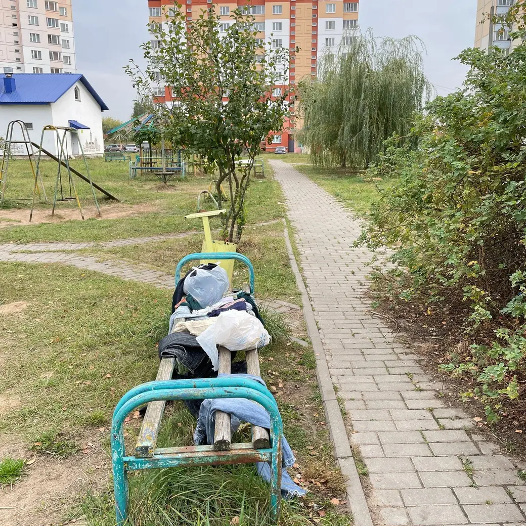 Осень 2024 г. Могилев.