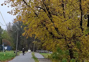 Куда сходить в Могилеве в ближайшие выходные: наш гид