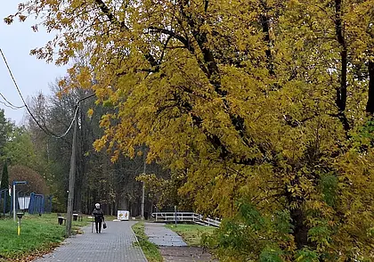 Куда сходить в Могилеве в ближайшие выходные: наш гид