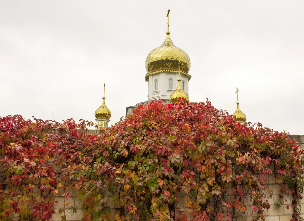 Осень глазами боруйчанина Юрия Куценко, 2024 г.