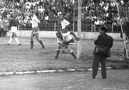 Однажды в Могилеве. «Ну, как же Пушкин с одной рукой смог на дерево залезть?»