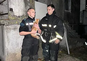 Как в Могилеве кошку из беды выручали, рассказали спасатели