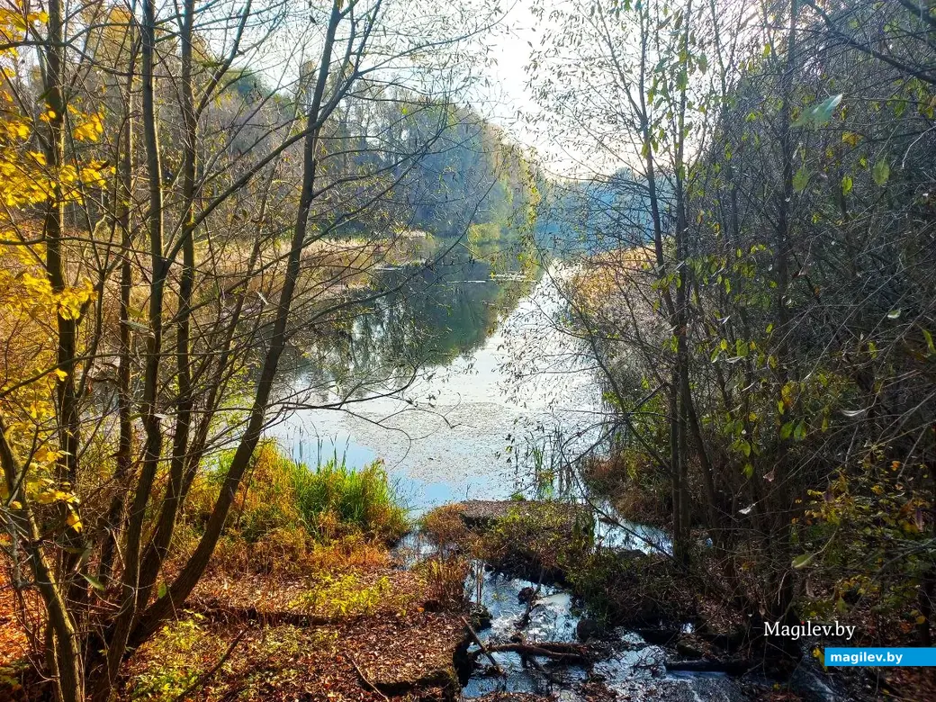 27.10.2024, Могилев, озеро у военного городка.
