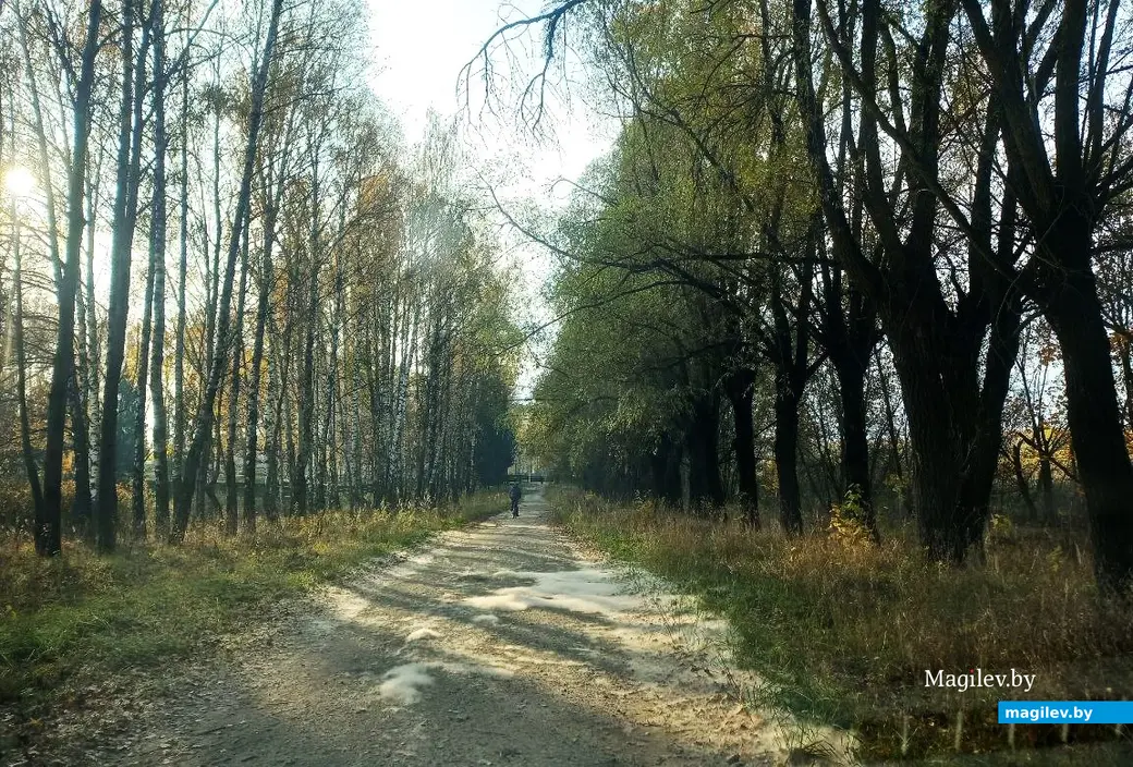 27.10.2024, Могилев, военный городок. Пуховое одеяло на дороге.