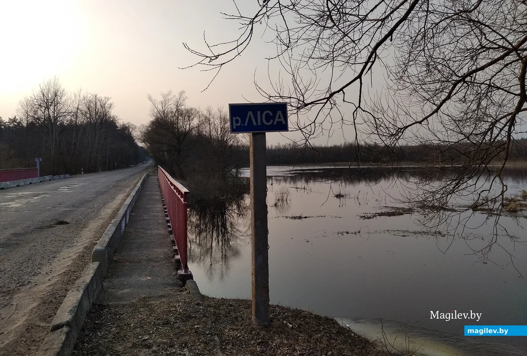 Весна 2022 года. Один из притоков Птичи - река Лиса у деревни Устерхи, Глусского района. Разлив.