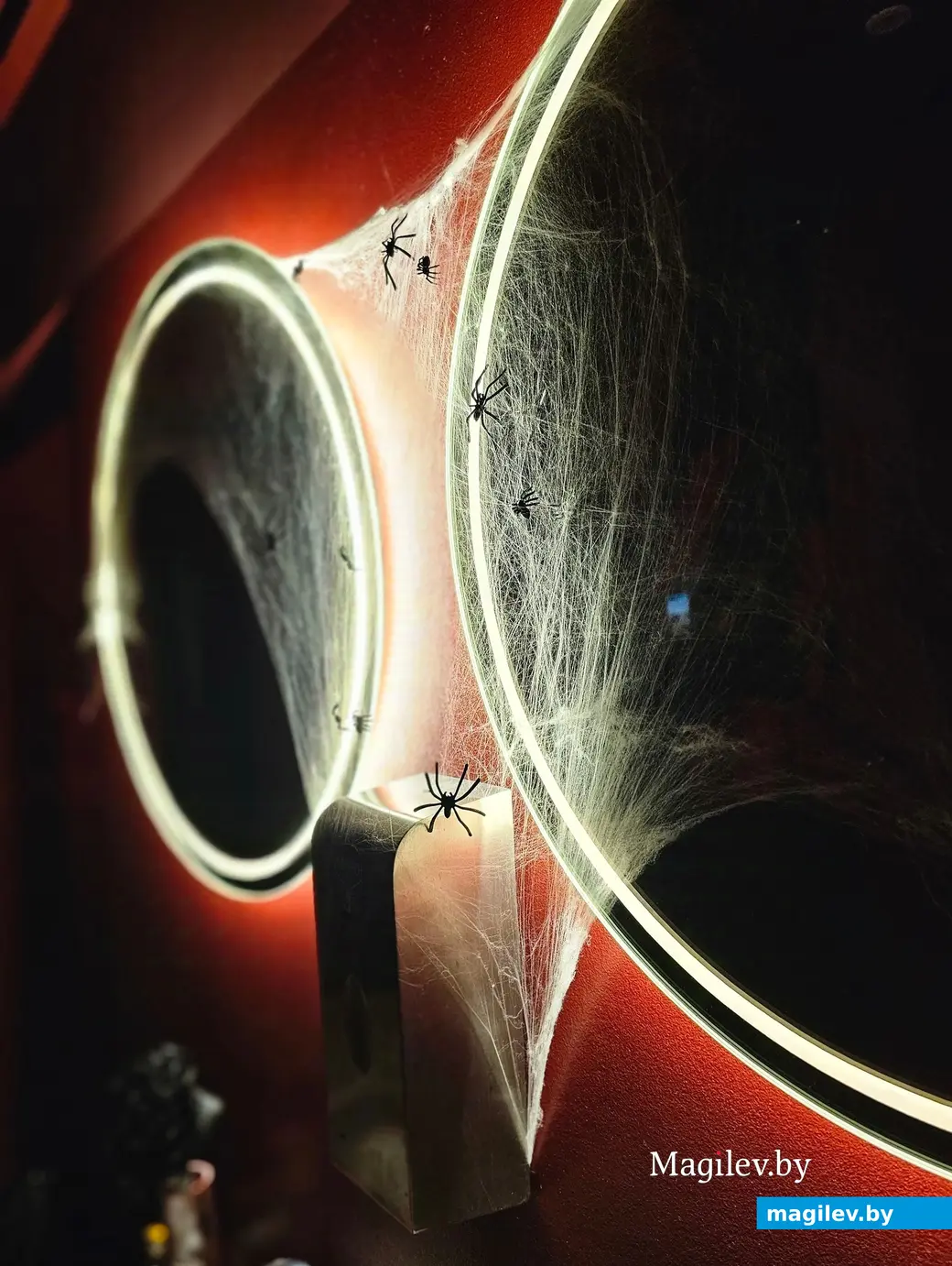 Октябрь 2024 года. Могилев, бар «Монарх».