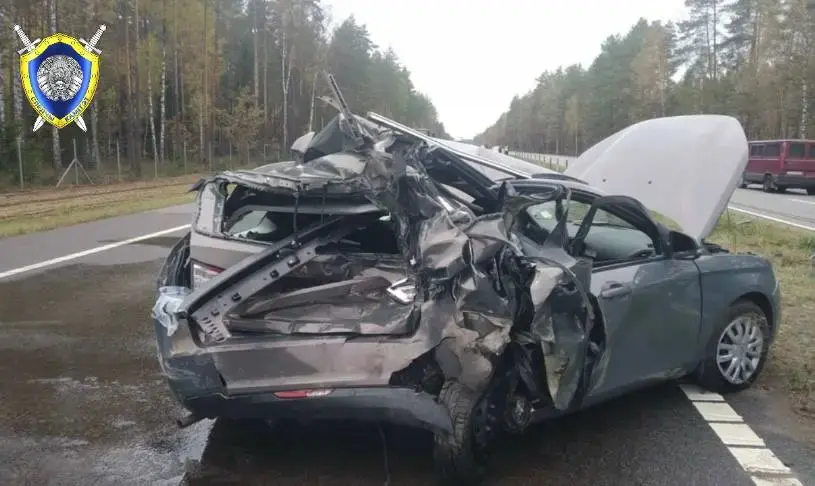 22.10.2024 г. ДТП в Осиповичском районе. Следователи ищут очевидцев. Фото: СК РБ