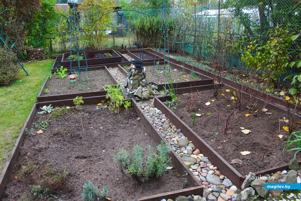Октябрь 2024 года. Станция Понизов. Дачный участок Ларисы Федоровны Суздалевой. Огород в итальянском стиле.