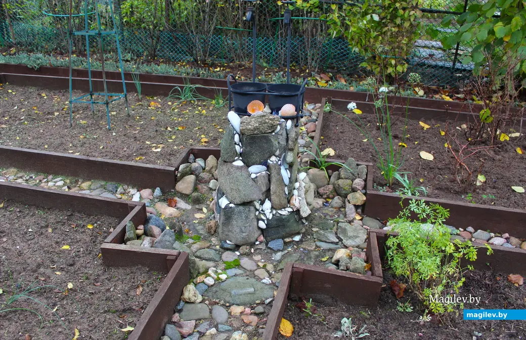 Октябрь 2024 года. Станция Понизов. Дачный участок Ларисы Федоровны Суздалевой. Огород в итальянском стиле.