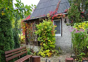 Хотите сделать дачу местом отдыха? Опытный садовод поделилась своим примером