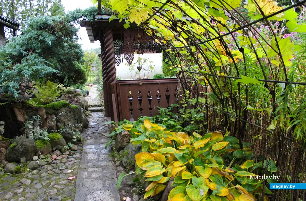 Октябрь 2024 года. Станция Понизов. Дачный участок Ларисы Федоровны Суздалевой.