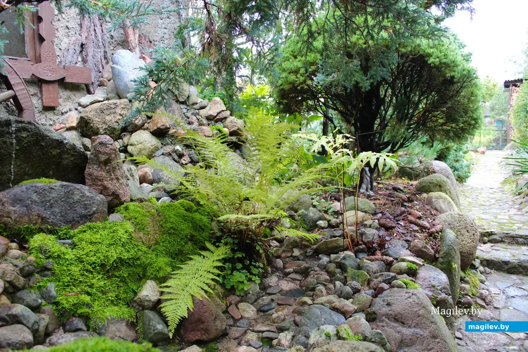 Октябрь 2024 года. Станция Понизов. Дачный участок Ларисы Федоровны Суздалевой.