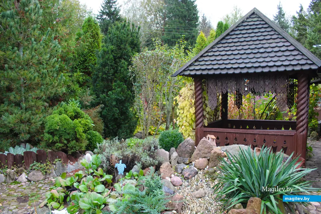 Октябрь 2024 года. Станция Понизов. Дачный участок Ларисы Федоровны Суздалевой. На участке несколько альпийских горок, две – рядом с беседкой.