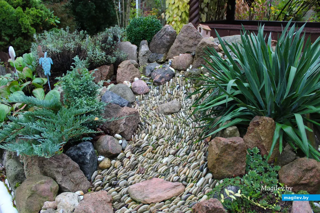 Октябрь 2024 года. Станция Понизов. Дачный участок Ларисы Федоровны Суздалевой.