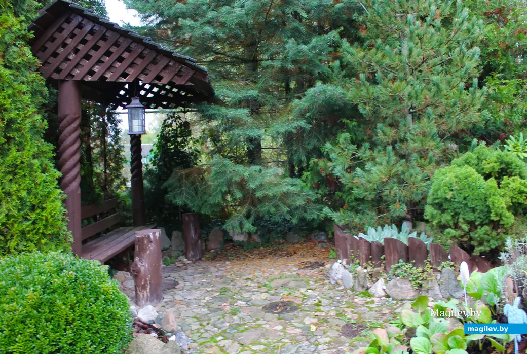 Октябрь 2024 года. Станция Понизов. Дачный участок Ларисы Федоровны Суздалевой. Зона отдыха, спасающая в знойную жару.