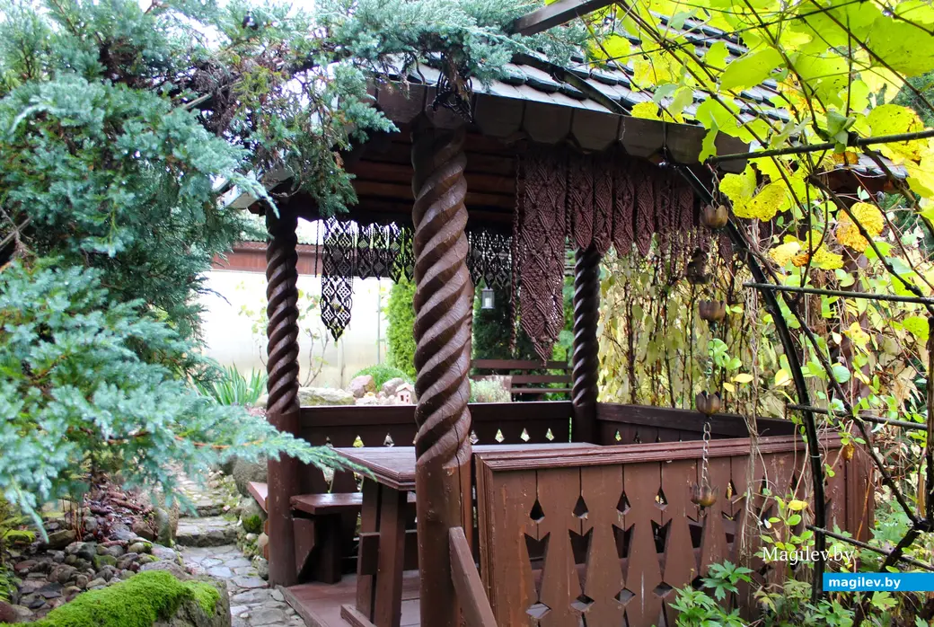 Октябрь 2024 года. Станция Понизов. Дачный участок Ларисы Федоровны Суздалевой.