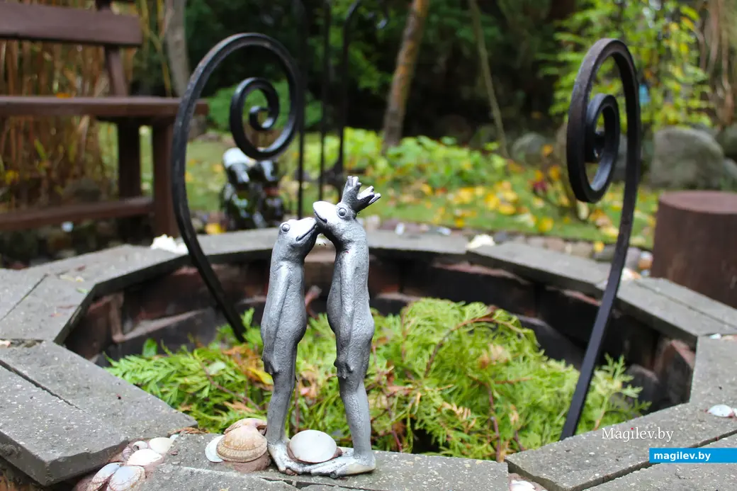 Октябрь 2024 года. Станция Понизов. Дачный участок Ларисы Федоровны Суздалевой.