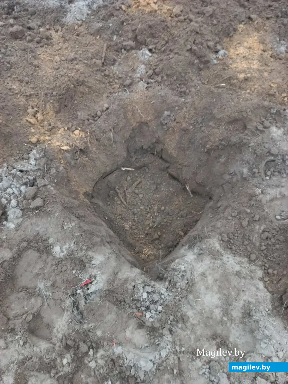 Пошаговая фоторекомендация опытного садовода по посадке голубики садовой. Фото предоставлено Татьяной Маковецкой.