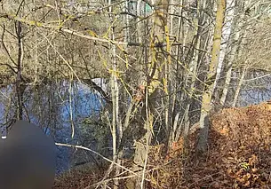 В Костюковичском районе утонул 74-летний мужчина