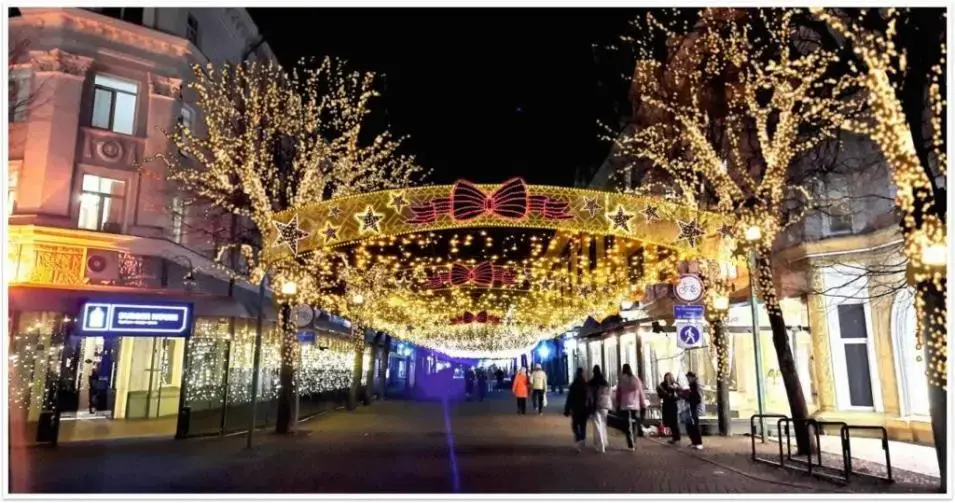 Пешеходная Ленинская тоже засверкает огнями!