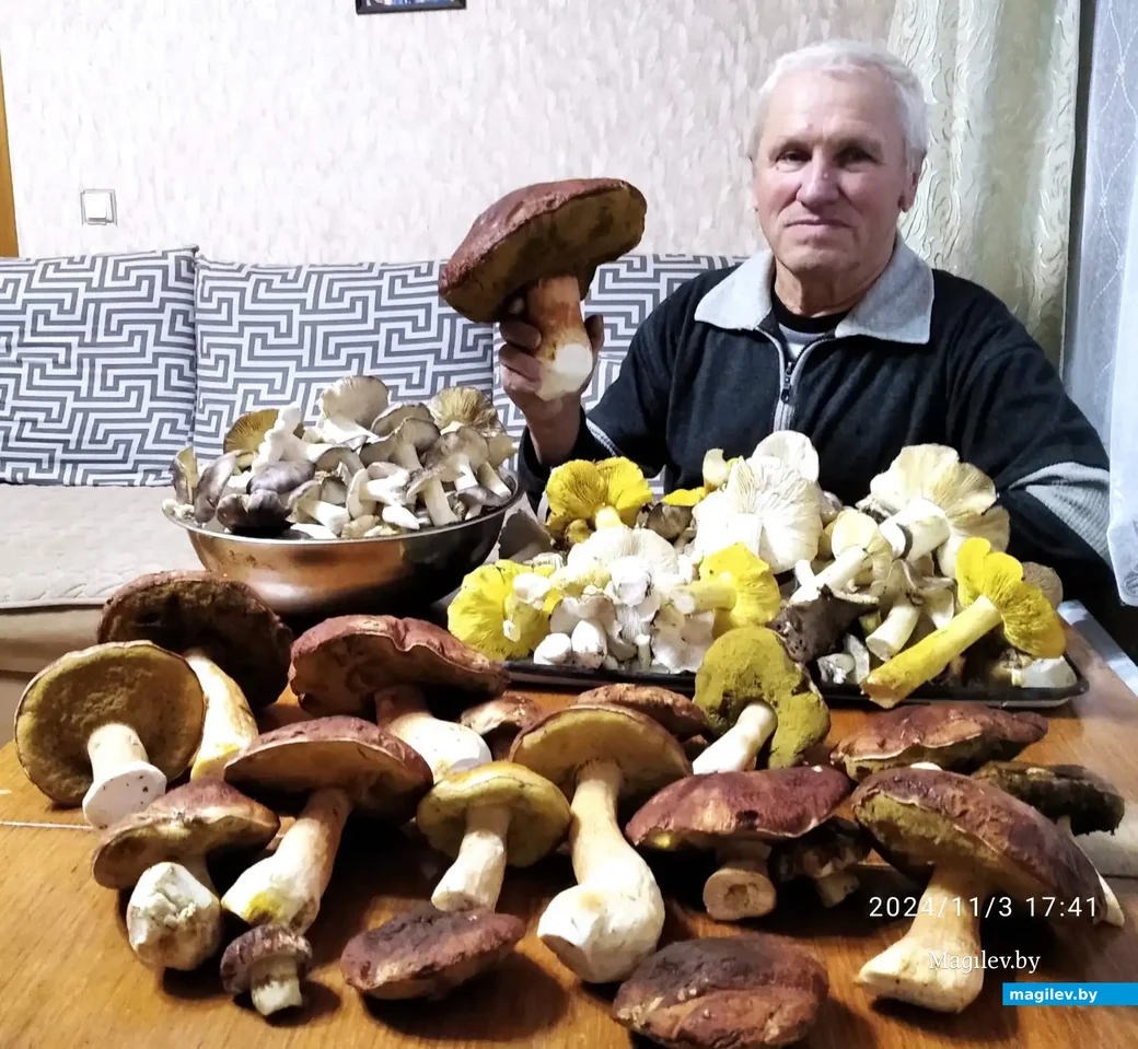 3.11.2024 г. д. Мирадино. Александр Сойка..