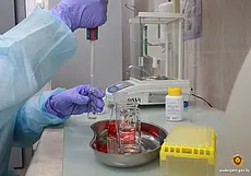 Житель Краснополья отравился ядом от колорадских жуков. Спасти мужчину не смогли