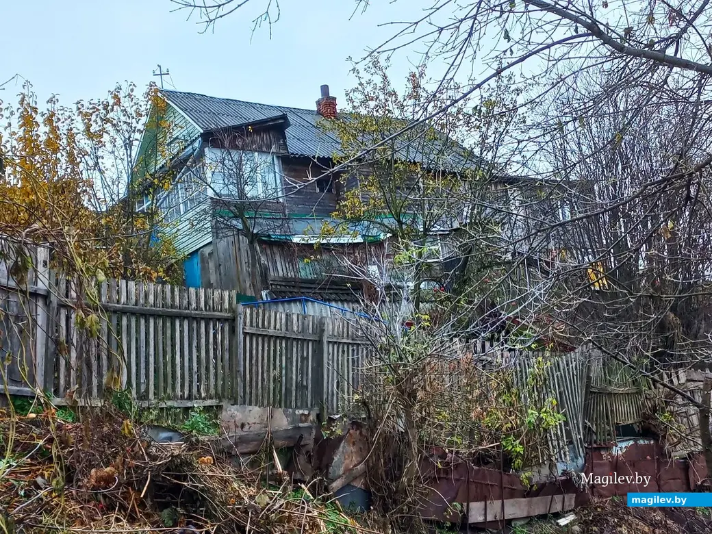 05.11.2024, Могилев, Первый Струшенский овраг.