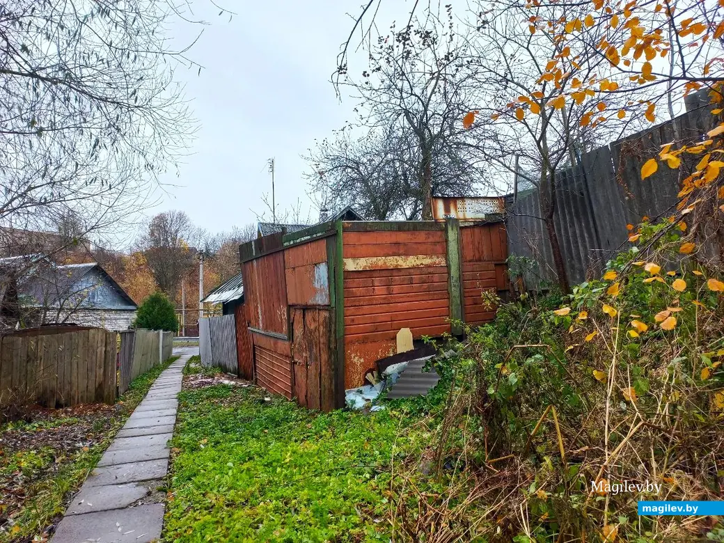 05.11.2024, Могилев, Первый Струшенский овраг.