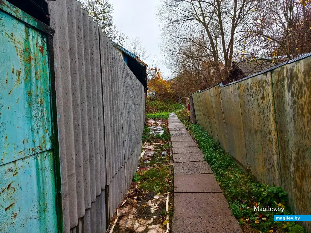 05.11.2024, Могилев, Первый Струшенский овраг.