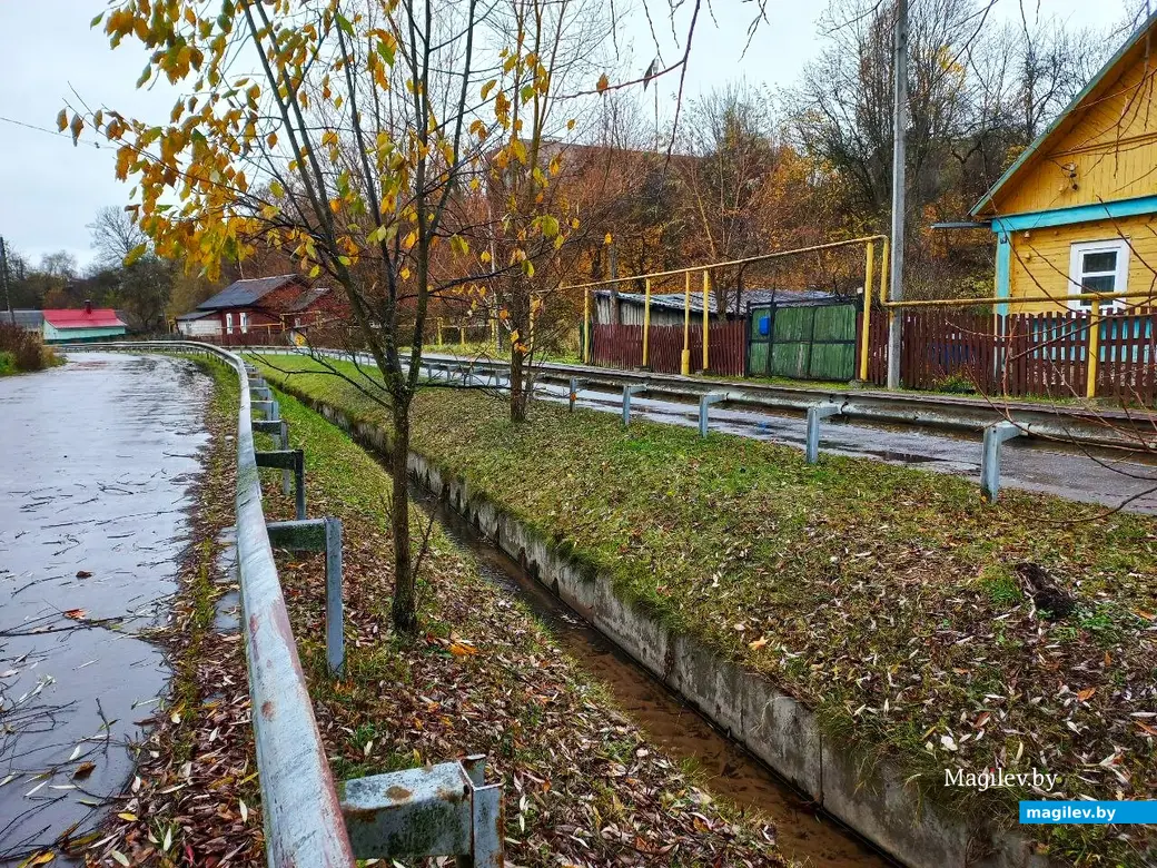 05.11.2024, Могилев, речка Струщня.