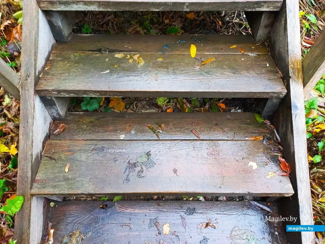 05.11.2024, Могилев, Первый Струшенский овраг.