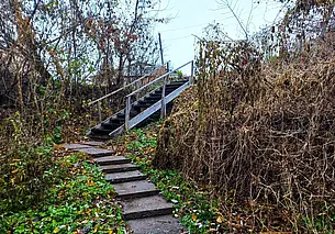Могилев исчезающий: каждый овраг нам друг, а не враг