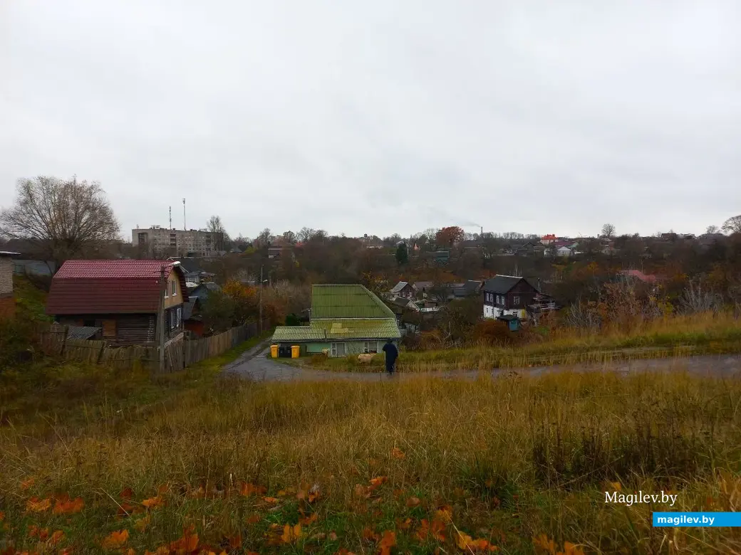 05.11.2024, Могилев, Первый Струшенский овраг.