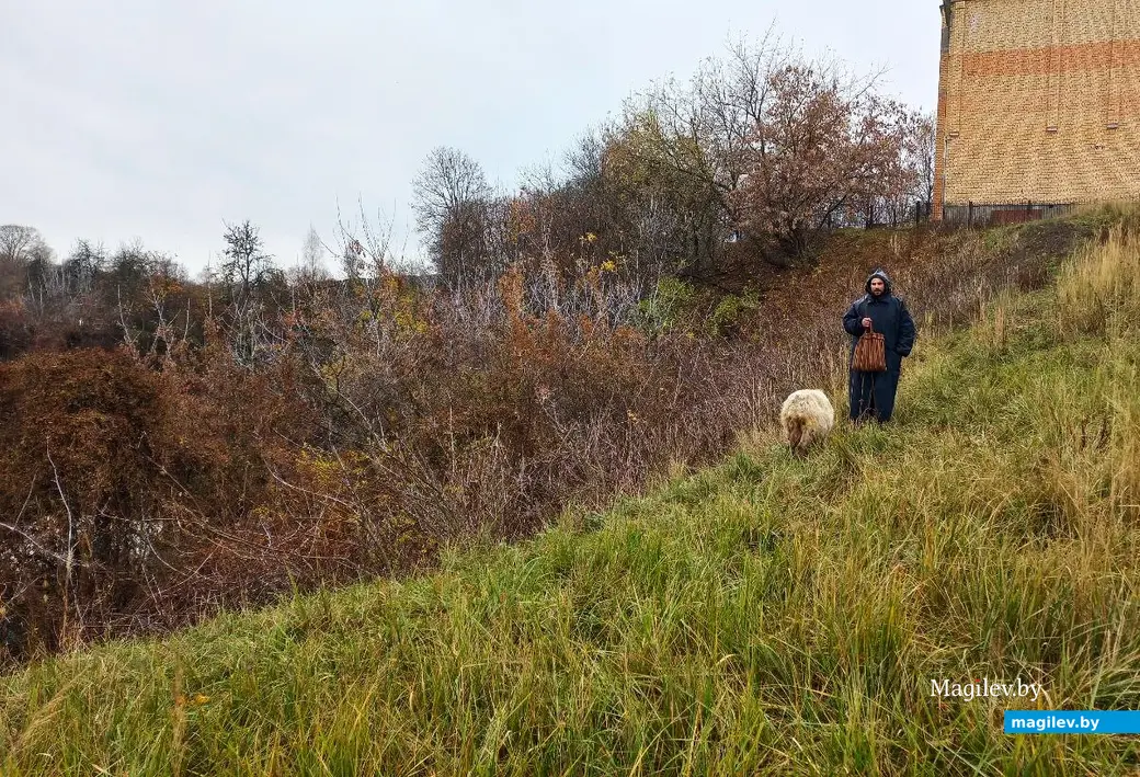 05.11.2024, Могилев, Первый Струшенский овраг.